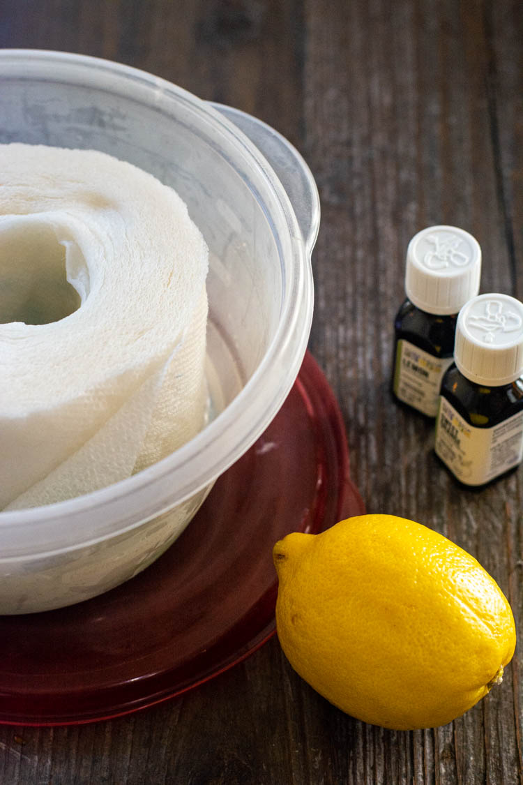 paper towels in a plastic container and lid with DIY disinfectant