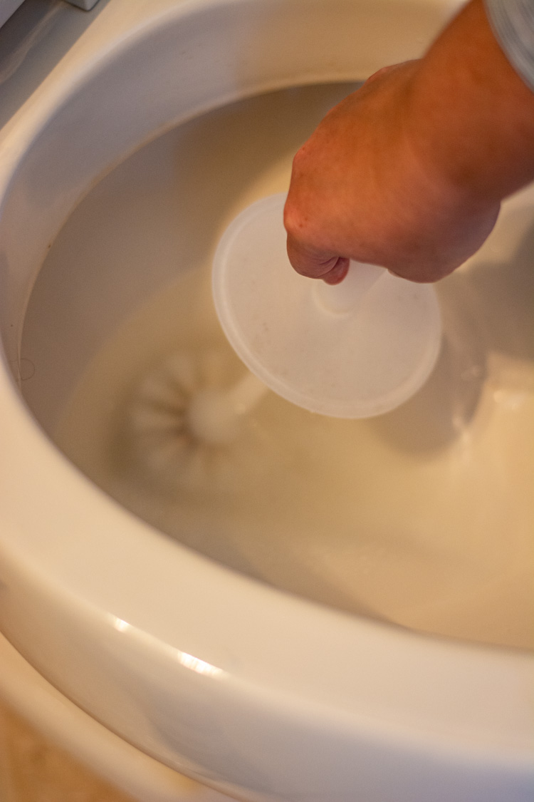 after spraying, use the scrub brush to clean the toilet